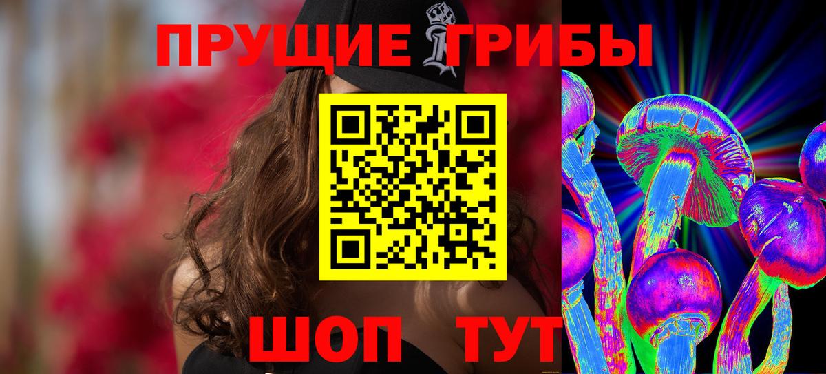 Галлюциногенные грибы Psilocybe Дедовск