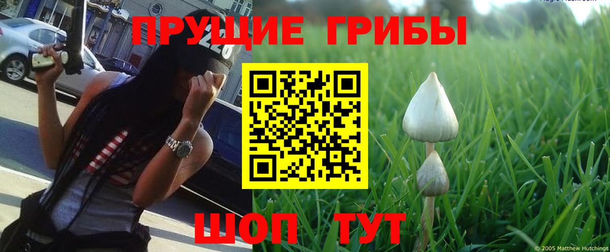 Галлюциногенные грибы MAGIC MUSHROOMS  Вход с VPN  Галлюциногенные грибы Cubensis  Дедовск 
